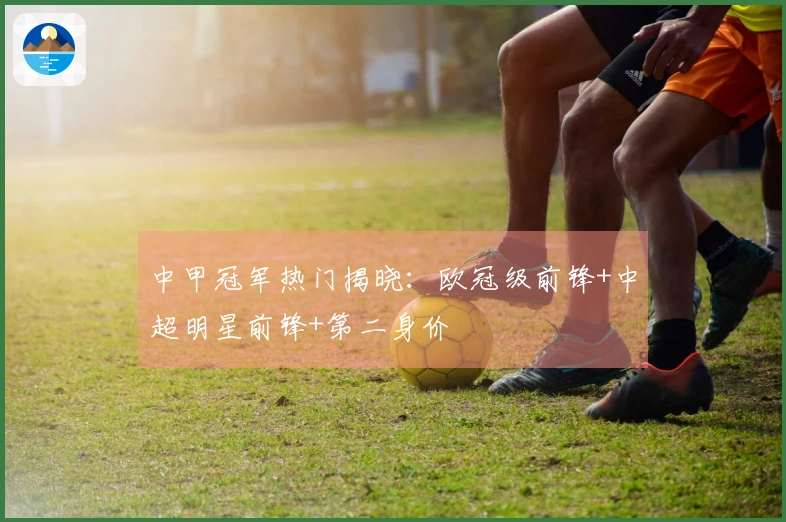 中甲冠军热门揭晓：欧冠级前锋+中超明星前锋+第二身价