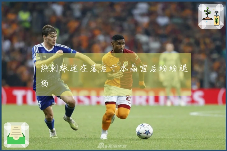 热刺球迷在落后于水晶宫后纷纷退场