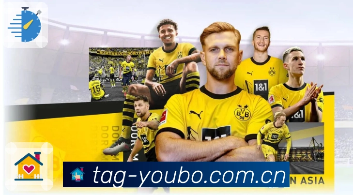 <strong>友博体育</strong>App 下载码